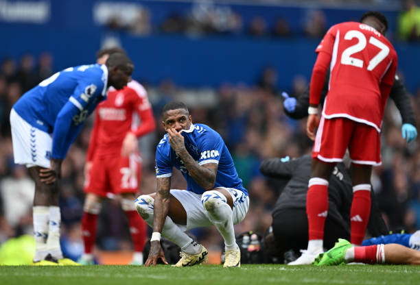 寸绿草和球 寸绿草和球