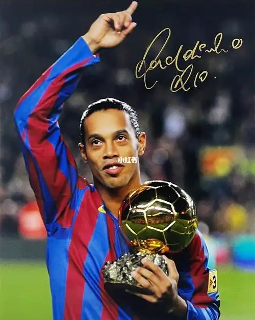 聲明已確認 聲明已確認